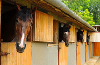 free Llanrhaeadr stable construction quotes